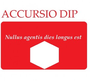 ACCURSIO RED nullus dies
